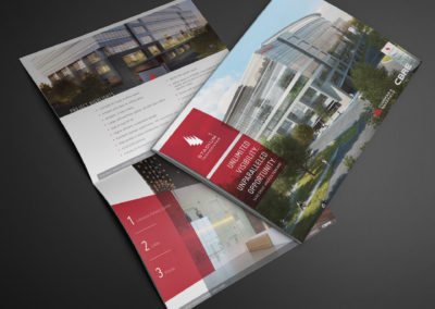 Custom Real Estate Brochure 1